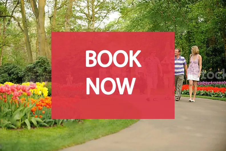 Book Now image error